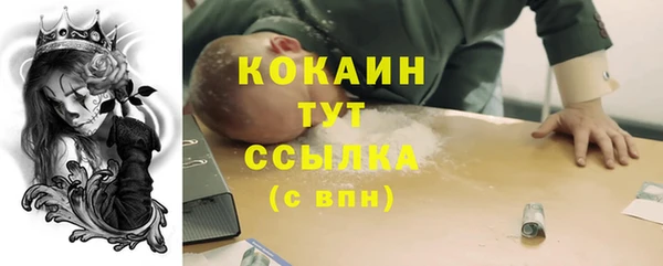 прущий лед Алексин